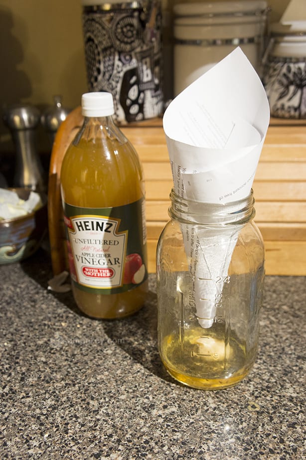 Apple Cider Vinegar Fruit Flies