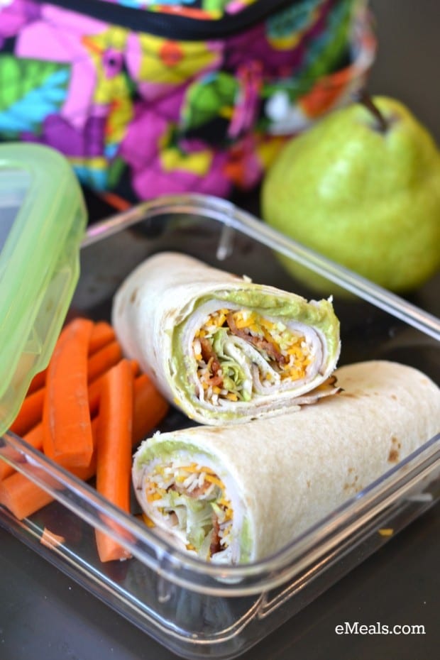 Turkey- Bacon tortilla roll ups and other great Back to School Lunch Ideas 