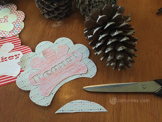 Pine Cone Turkey Thanksgiving Place Cards