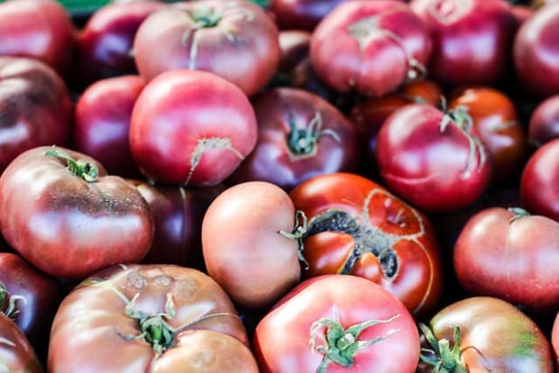 Growing Cherokee Purple Tomatoes