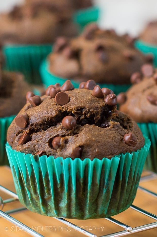 World's Best Dark Chocolate Pumpkin Muffins Recipe