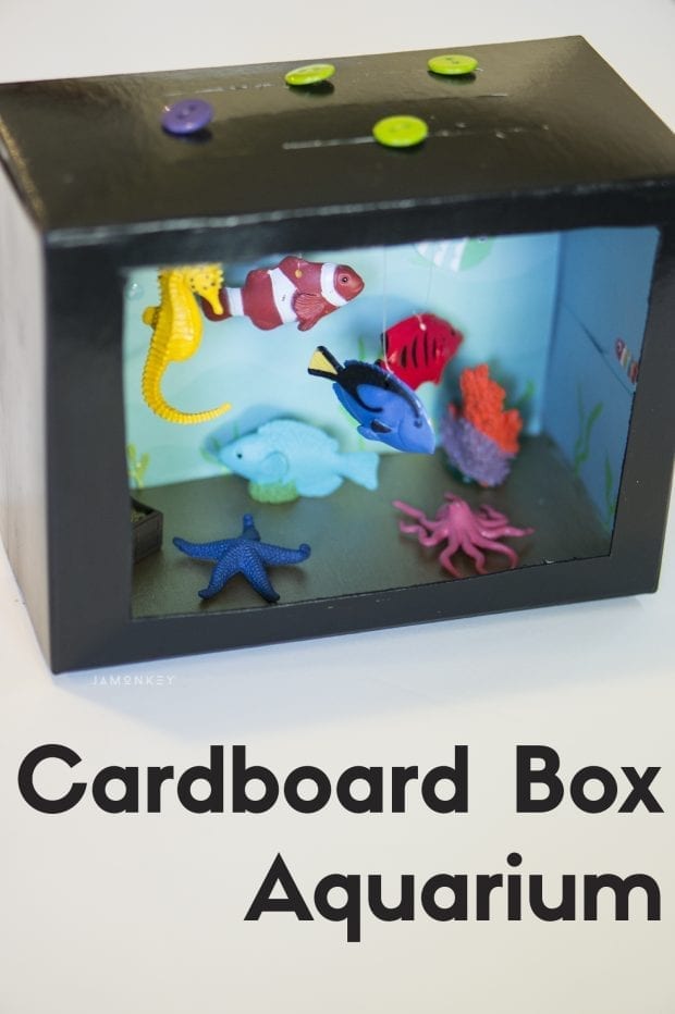 Cardboard Box Aquarium