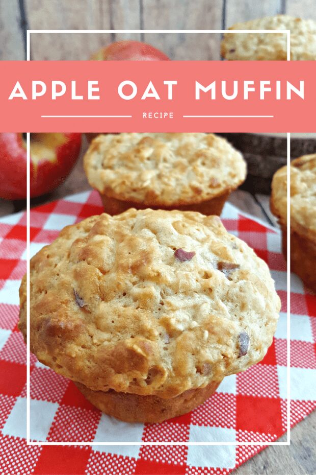 Healthy Apple Oat Muffins