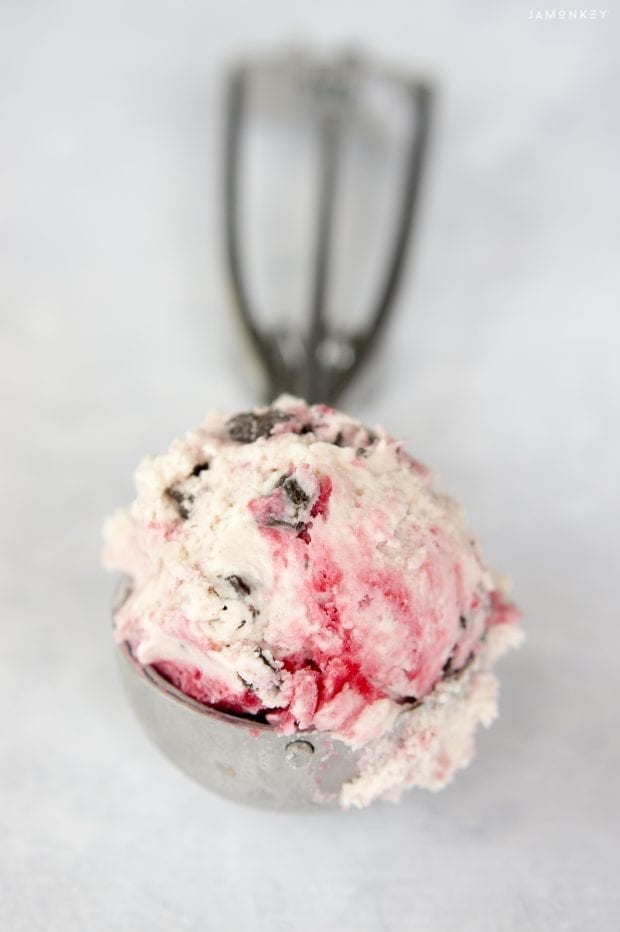 Raspberry Dark Chocolate Swirl Ice Cream