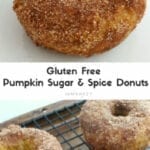 Gluten Free Pumpkin Sugar & Spice Donuts