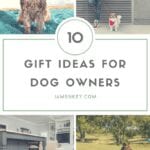 10 Gift Ideas for Dog Owners