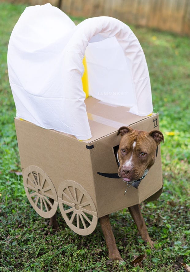 DIY Oregon Trail Box Costume for Kids and Dogs