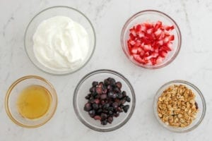Ingredients for Yogurt Parfait Breakfast Popsicles