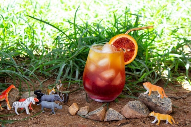 Circle of Life Drink - The Lion King inspired drink