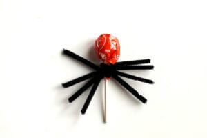 Spread out Black Pipe Cleaners on Lollipop