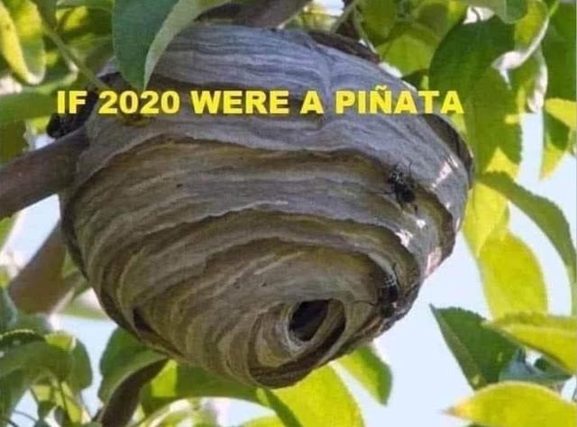 if 2020 was a pinata