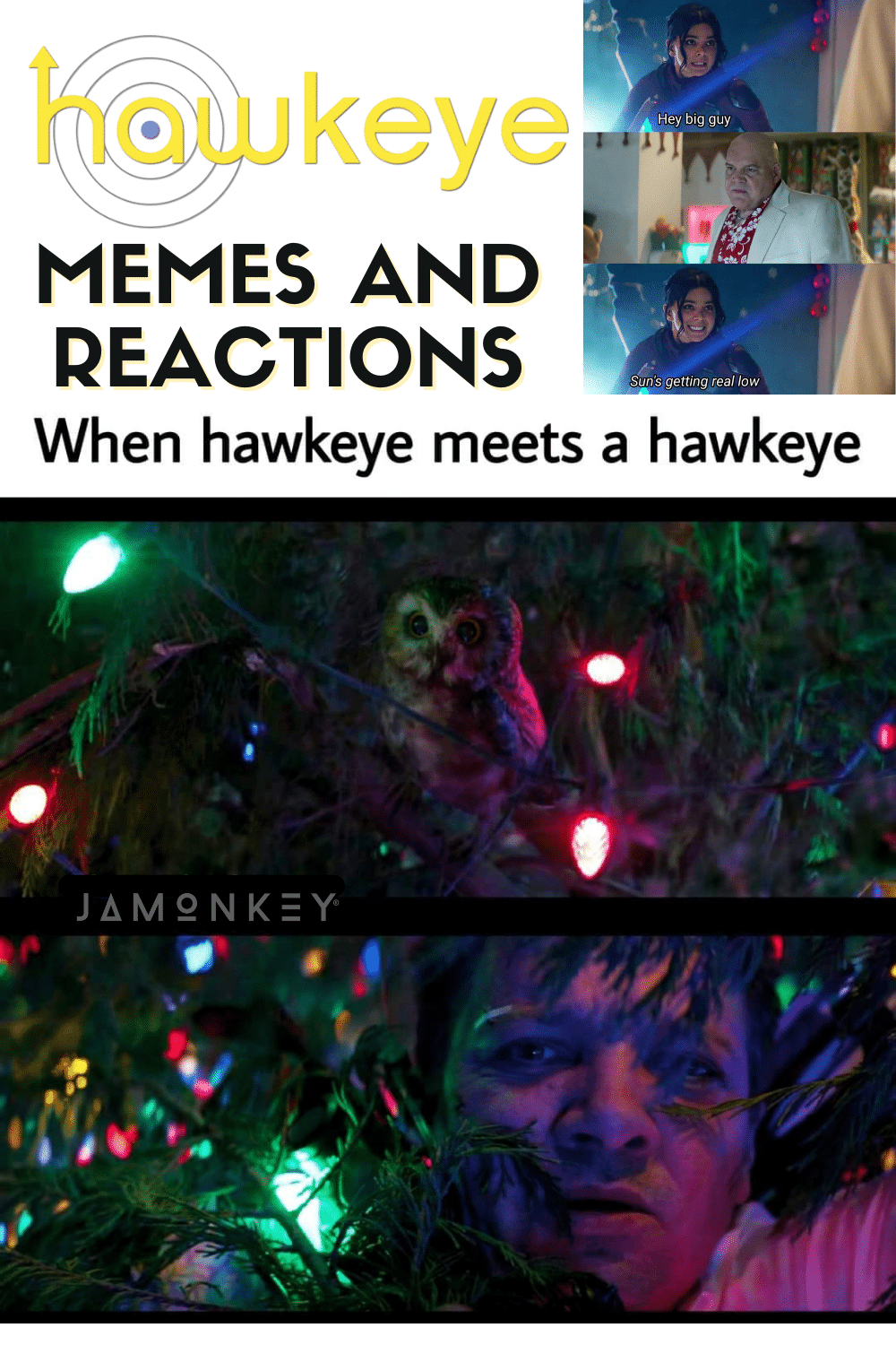 Hawkeye Memes and Reactions
