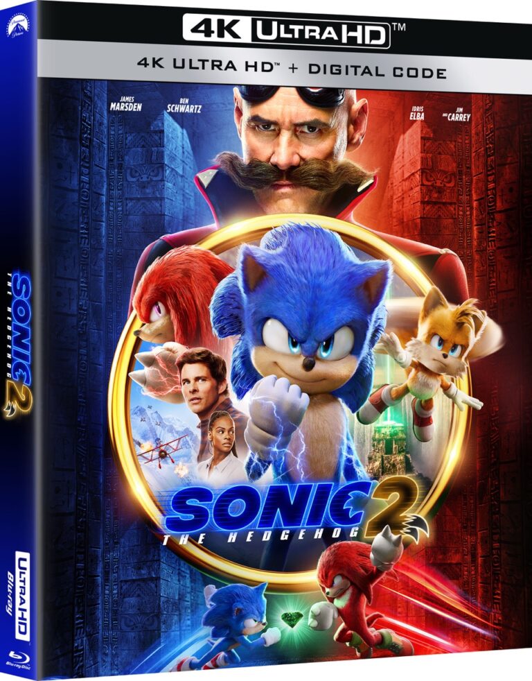 Bring Sonic the Hedgehog 2 Home
